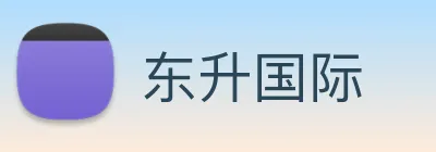东升国际 logo